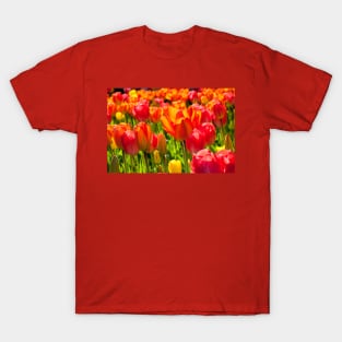 A full frame of tulips T-Shirt